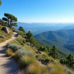 découvrez la randonnée de la croix du garlaban, un parcours incontournable offrant des panoramas spectaculaires et des sentiers authentiques au cœur de la nature provençale.