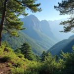 découvrez la forêt de horsh ehden au liban, située aux coordonnées latitude 34.307701, longitude 35.996101, un site naturel exceptionnel riche en biodiversité et paysages magnifiques.